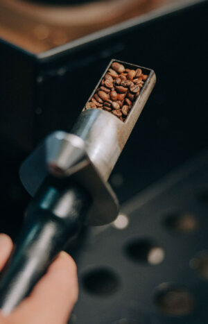 Kaffeeseminar über Rösten von Kaffee